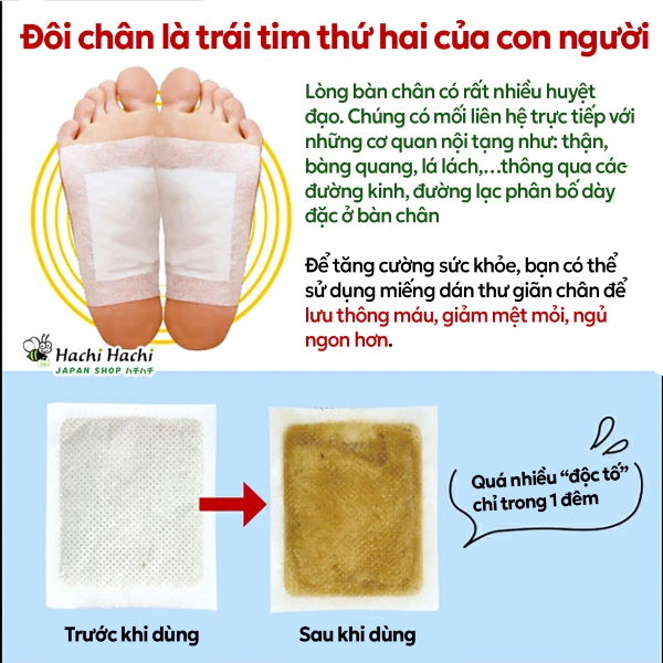 Mieng-dan-thu-gian-ban-chan-2-mieng-nhan-sam-(6).jpg
